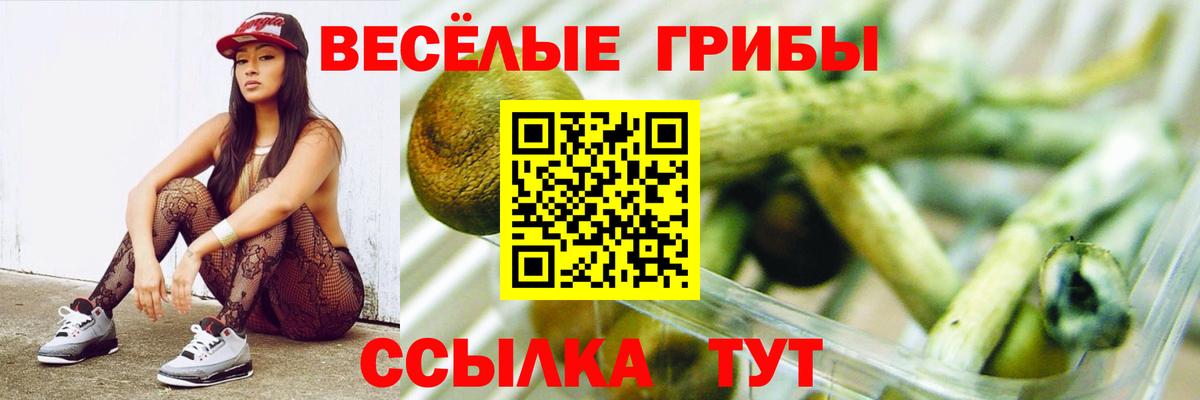 Галлюциногенные грибы Cubensis  Псилоцибиновые грибы GOLDEN TEACHER  Вход с VPN  Брянск 